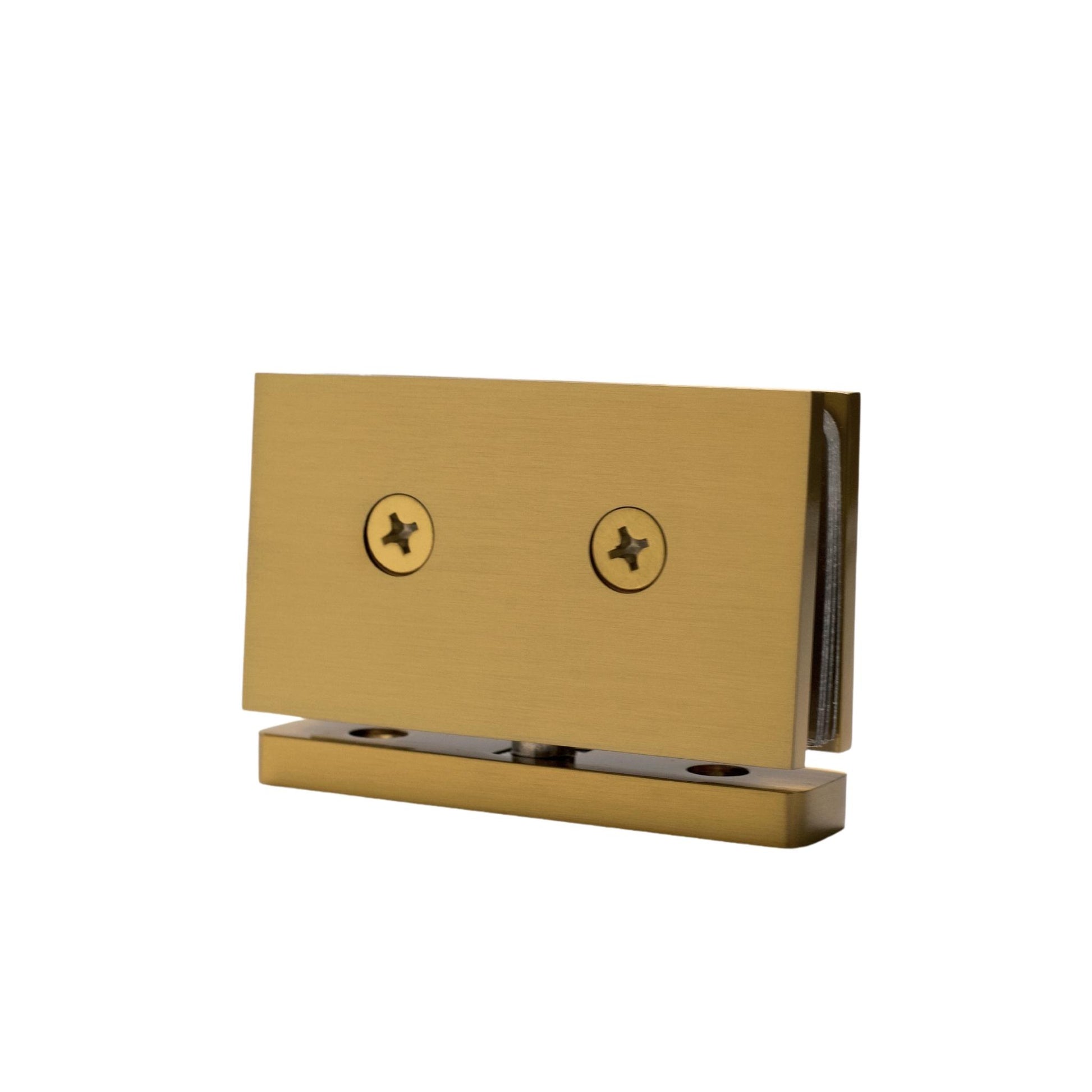 Satin Gold 360 Degree Top and Bottom Hinge