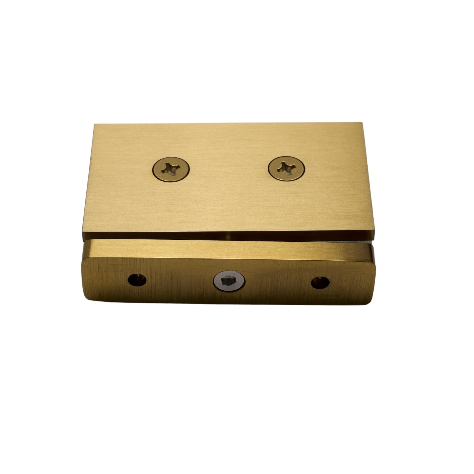 Satin Gold 360 Degree Top and Bottom Hinge